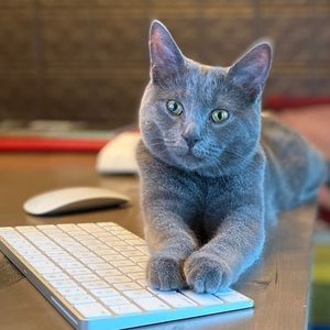 Meet your Posher, Kristi